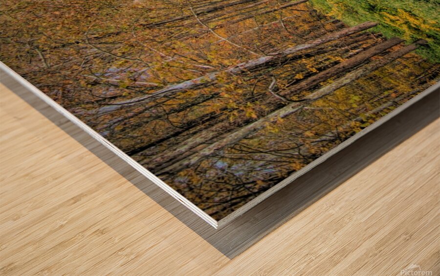 Sandburg Creek Wood print