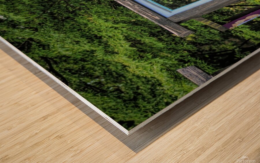 The Garden Window Wood print