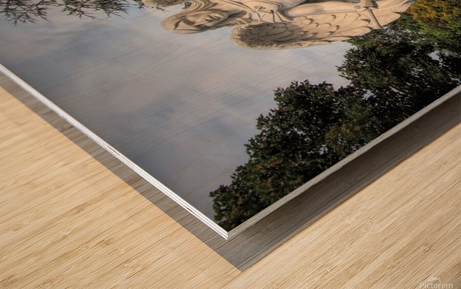 Archangel Gabriel Wood print