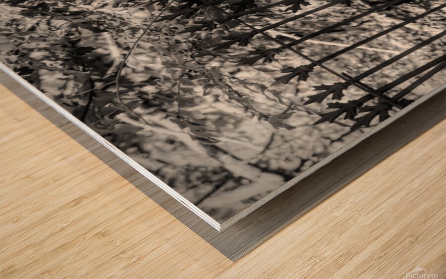 Iron Fence Wood print