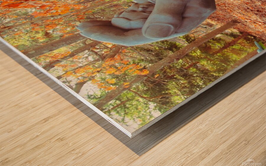 In The Safety Of His Hand Wood print